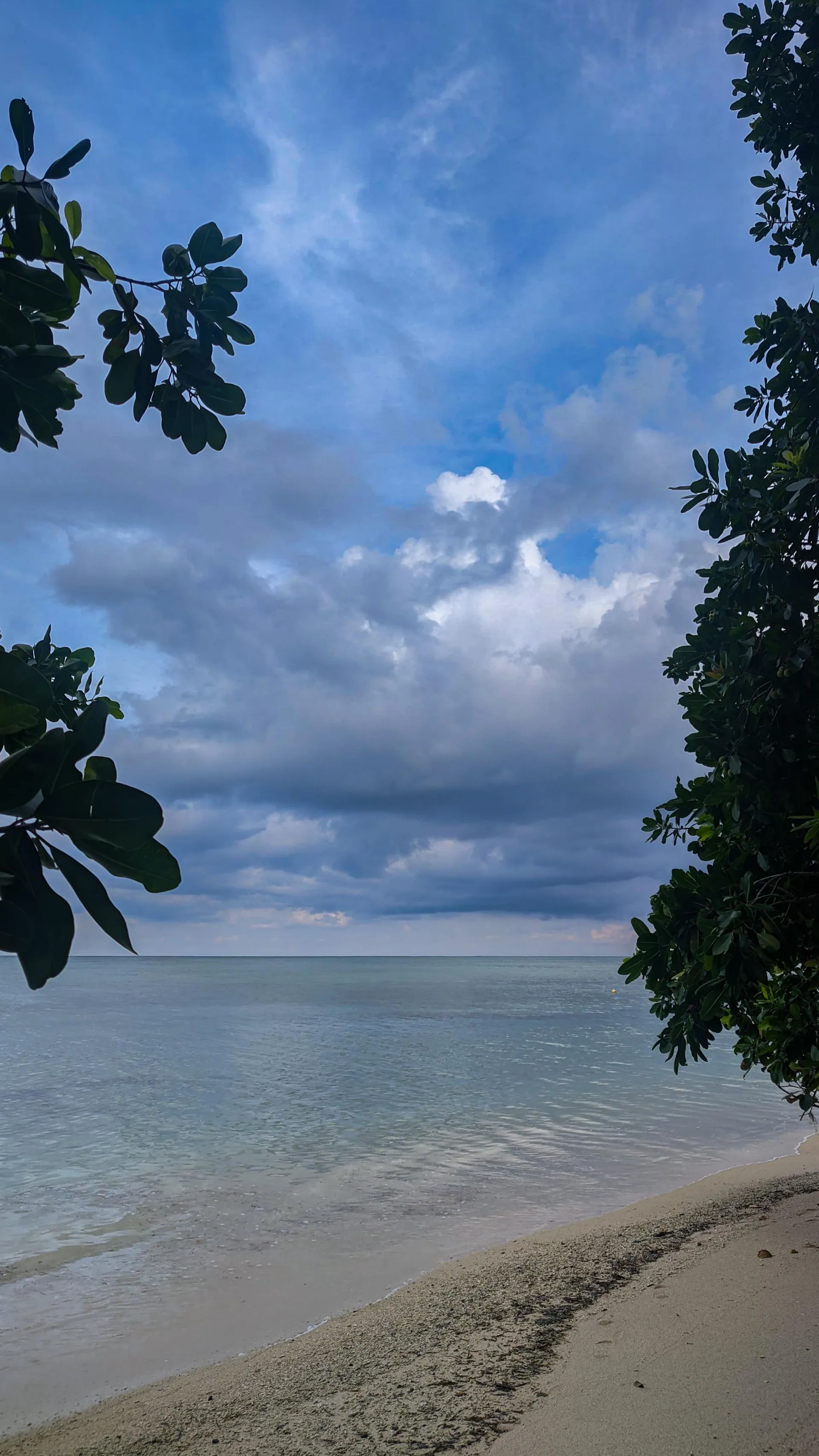 WhatsApp Image 2024 07 21 at 13.11.19